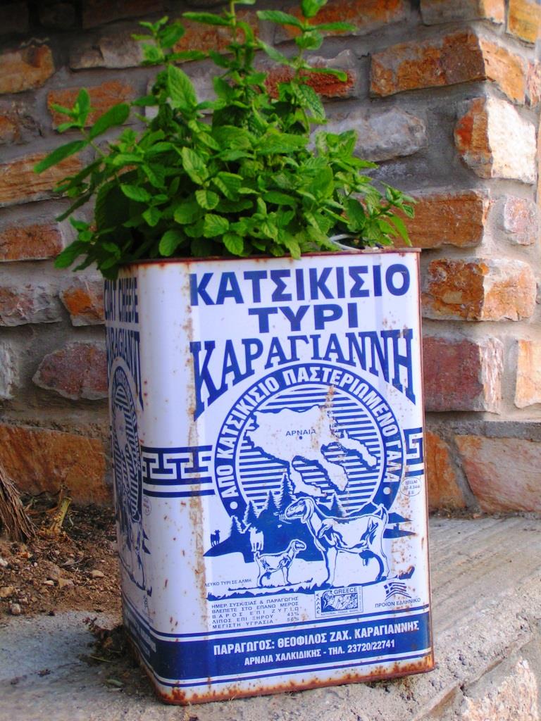 Athos - Skiti Giovanitsa - 2006